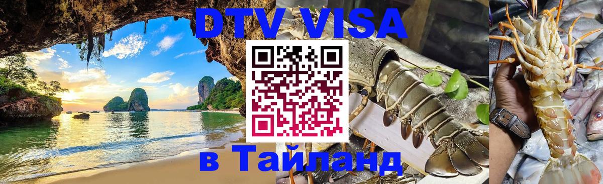 Сколько стоит DTV виза — актуальные цены, оформление даже без документов - 21.11.2025 